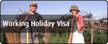 Working Holiday Visa >> Find Out More